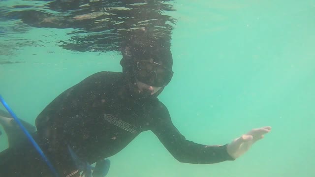 November Snorkel 2019