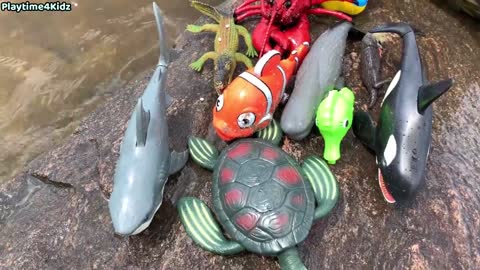 Sea Animal Toys This Summer at the Shore