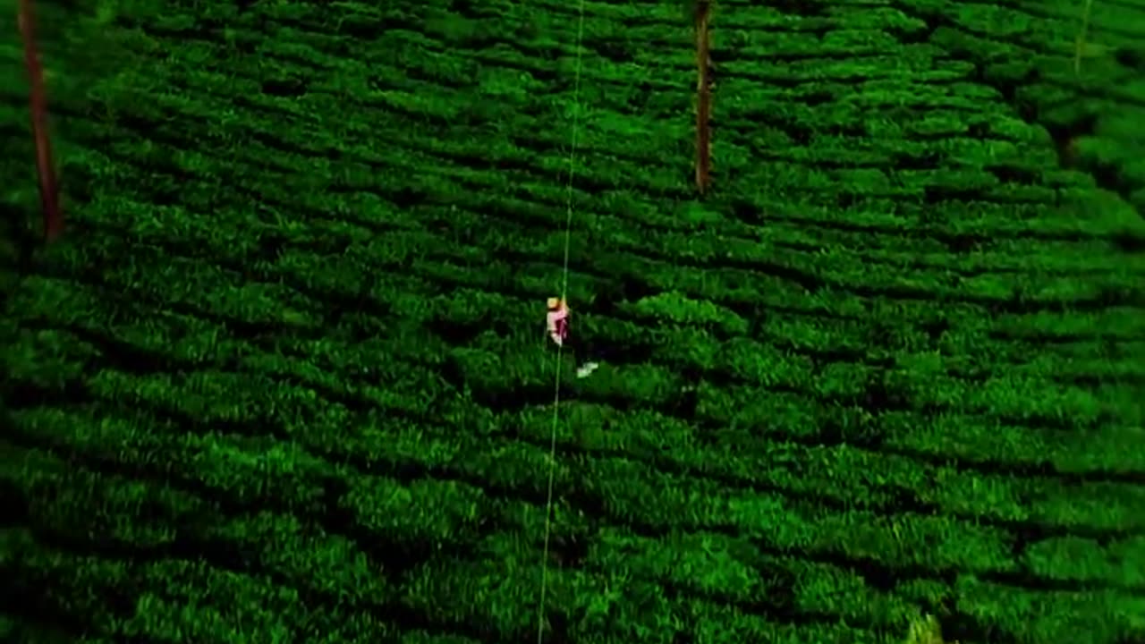 Wayanad's Hidden Gem: Nadukani Estate | A Nature Lover's Paradise