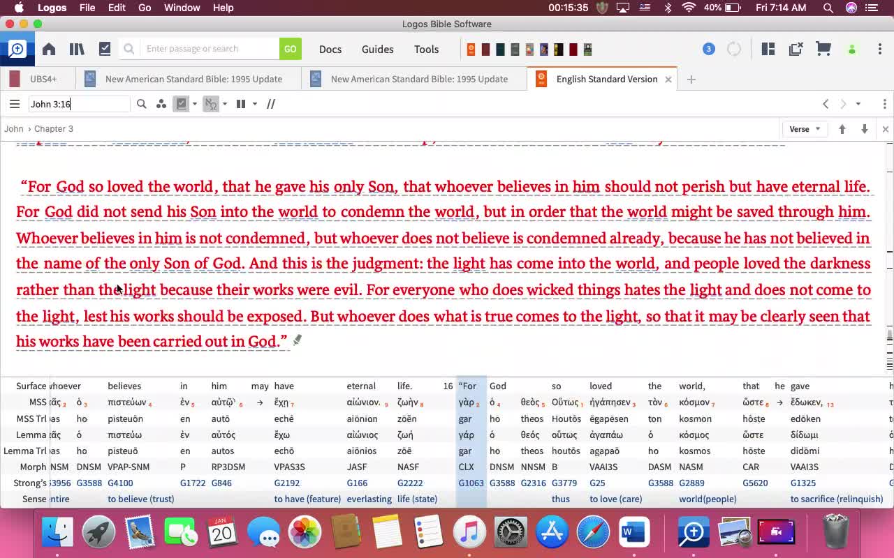 The Temple of God is the Church