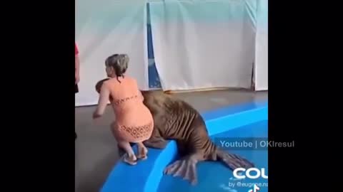 Best respect compilation video #respect #amazing