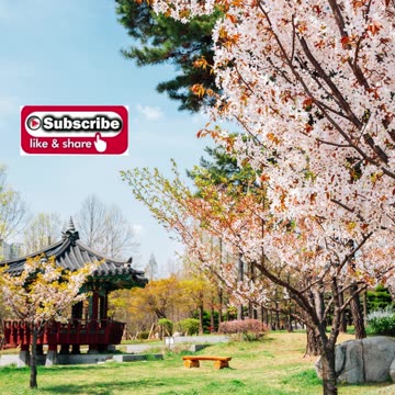 Nighttime Prayer of Protection #youtubeshorts #grace #jesus #god #mercy #faith #blessed #joy #love