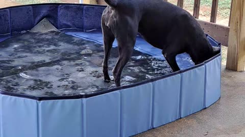 Luna in pool 1