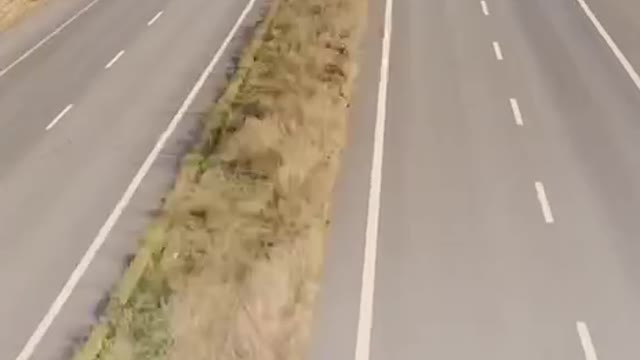 Incredible Helo Mix