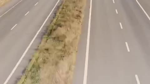 Incredible Helo Mix