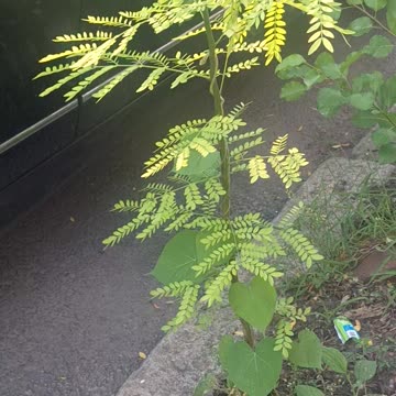 Nature is so amazing!