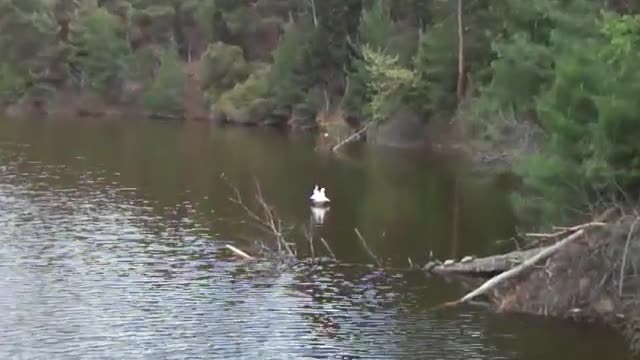 At the Pier of the Lake Thermi at Thermis Dam (P3)