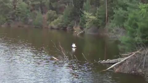 At the Pier of the Lake Thermi at Thermis Dam (P3)