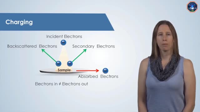 Basic Functions of Scanning Electron Microscopy SEM electronmicroscopy nanotechnology