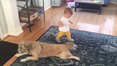 Babies Playing With Puppies