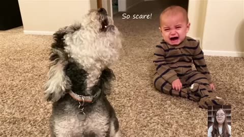 cute babies playing with dogs