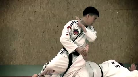 Hapkido