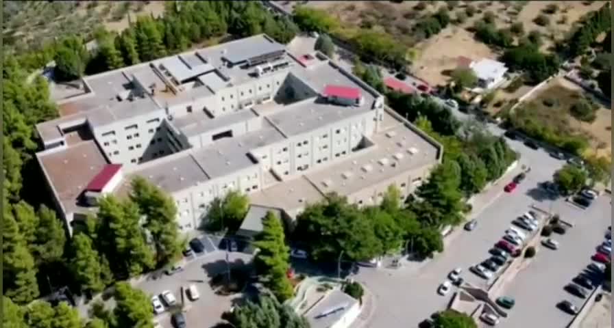 ΤΑ ΝΟΣΟΚΟΜΕΙΑ ΤΟΥ ΠΛΕΥΡΗ.