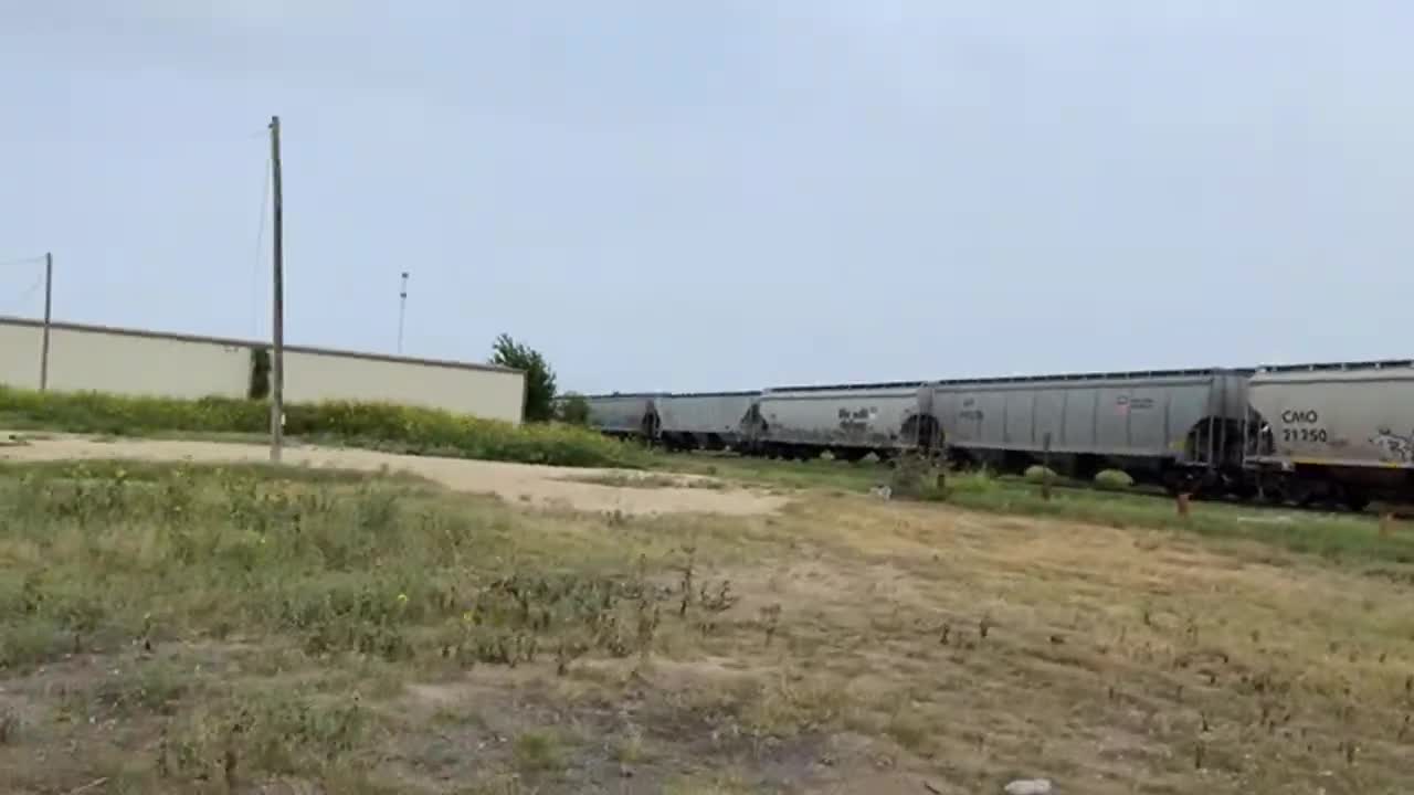 Pulling Illegals off the Trains