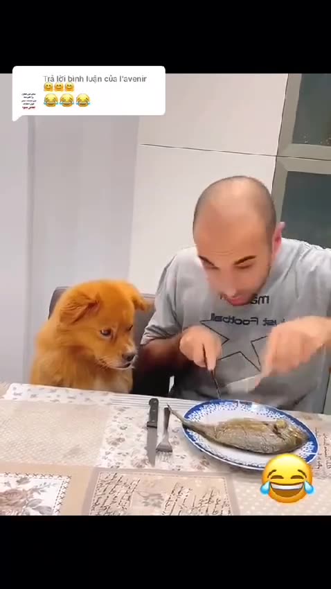 We love this dog's expressions. Hope you do too. Have a great weekend.