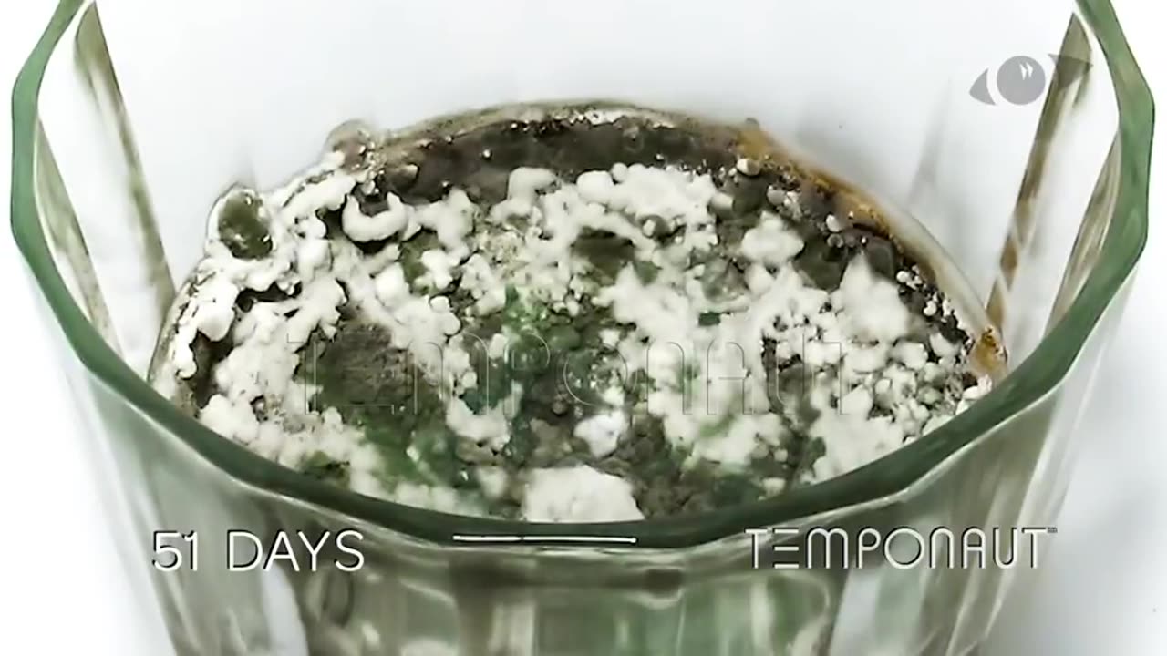 Milk Time-lapse