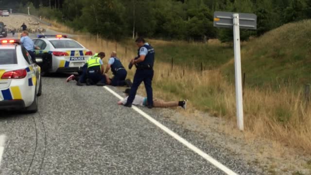 Police Chase Stopped by Sheep