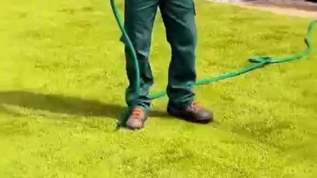 Sod was laid in the yard