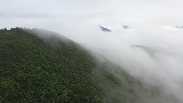 The Mountain