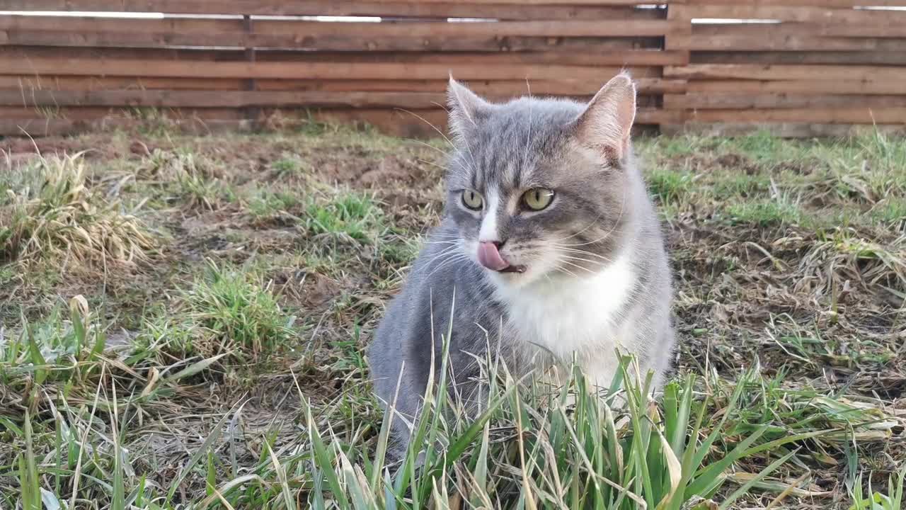 This is what you do when you are hungry