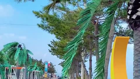 Beautiful scenery. Come and have a look