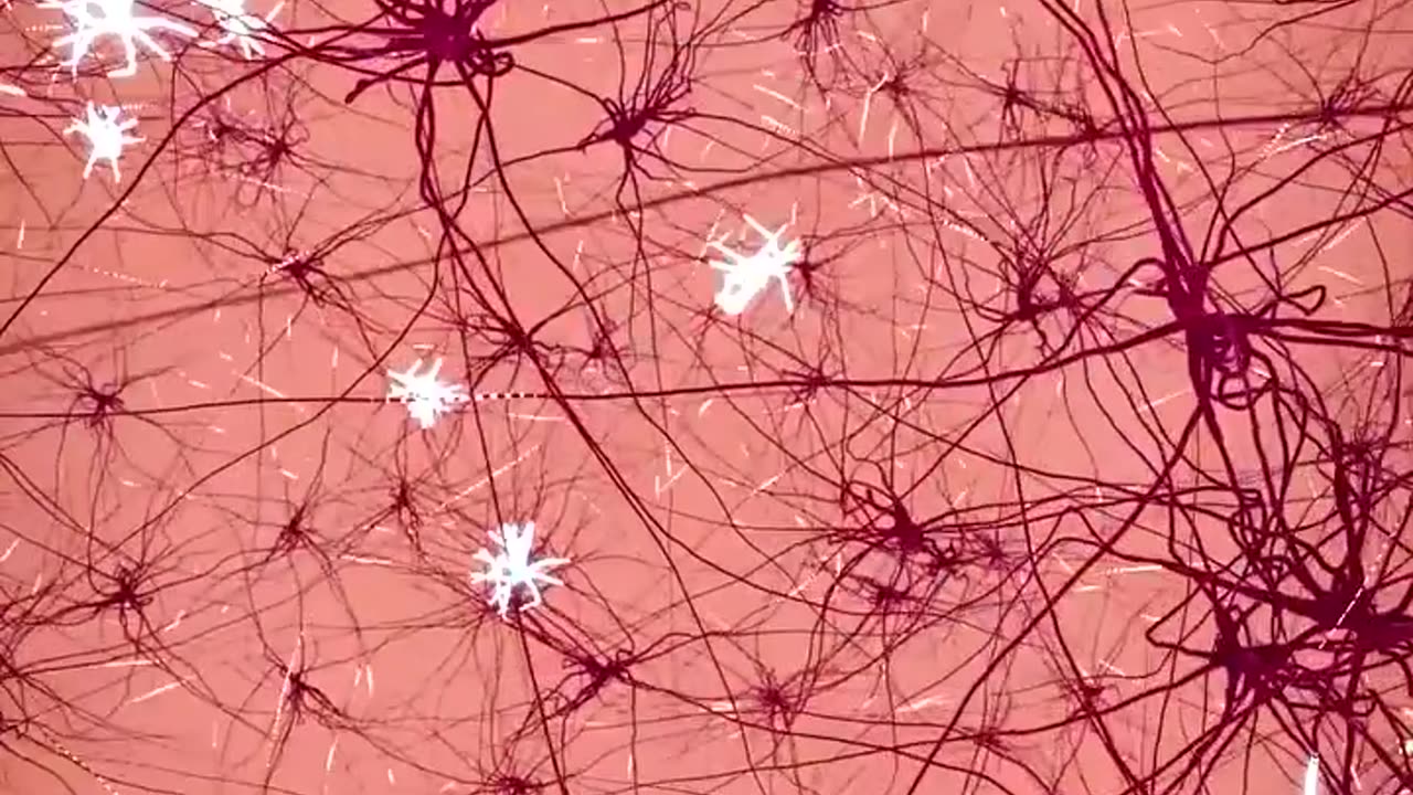 Bugs Under Your Skin! 🪲 #physics #science #factsonly #medical ¦