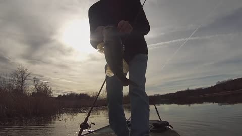 Flipping a jig on the Holston River