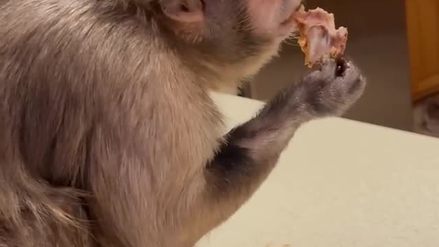 Dinner!!