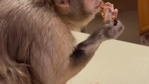 Dinner!!