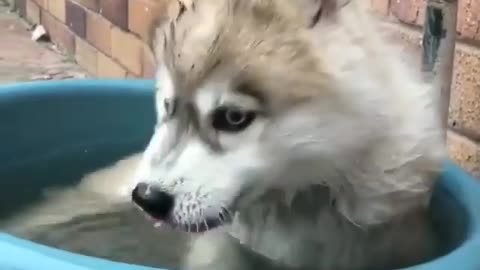 Unusual bathing method