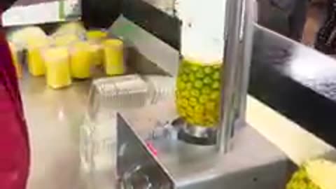Incredible Pineapple packing