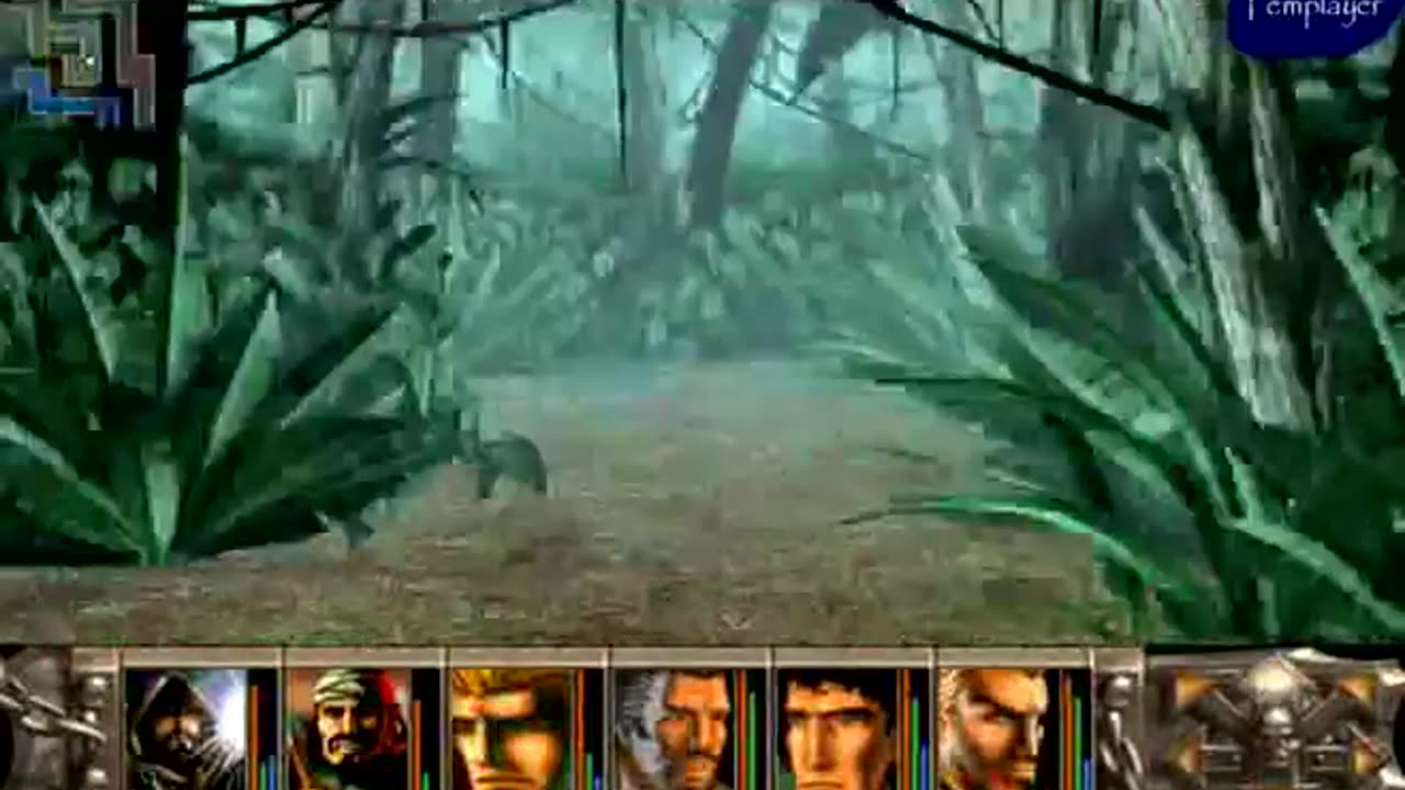 Brány Skeldalu 1 / The Gates of Skeldal 1 - Walkthrough/Videonávod |28| [CZ/EN]
