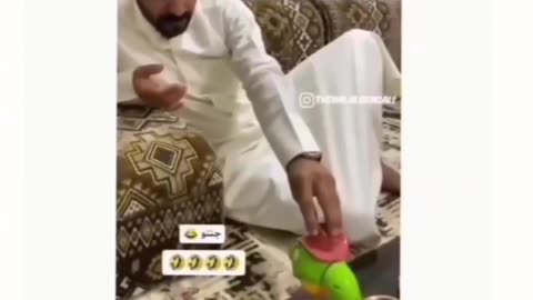 Comedy video