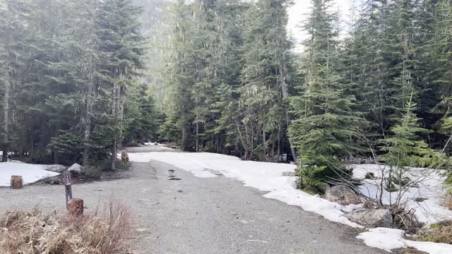 Hiking the Thetis Section – Kachess Lake – Okanogan-Wenatchee – Washington – 4K