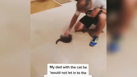 Cute funny pets 😂 #38