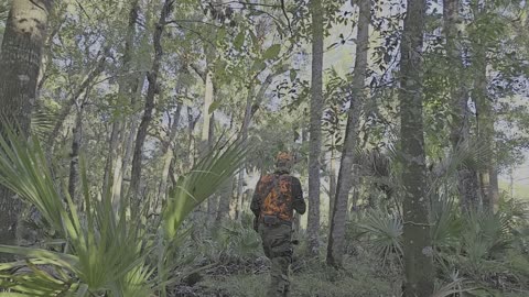 Squirrel drop