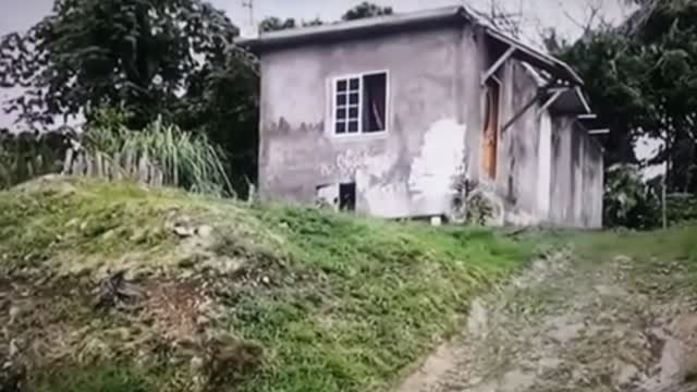 man kill mother a short while ago