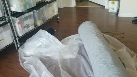 20240819 105445 Tux Plastic Sheet Burrowing