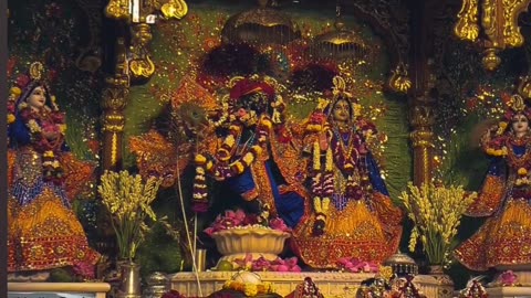 Radha radhe 🏵️🌸