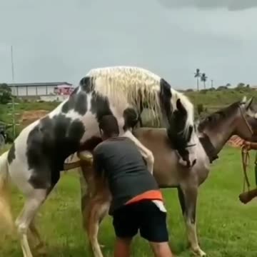 Let Me Help you in this