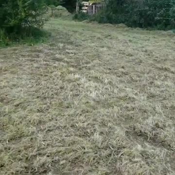 Prepare the Ground for a Garden Bed Part 3