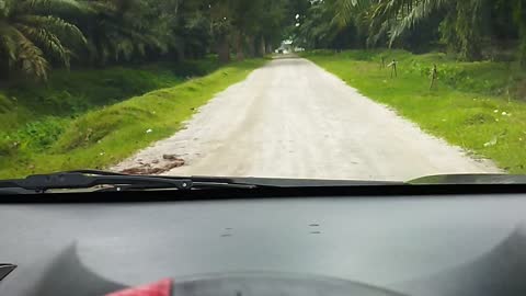 Perjalanan menuju kebun kelapa sawit