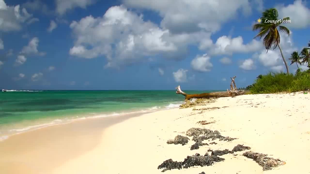 Video % with Beach Sounds - 4 Hour Long!