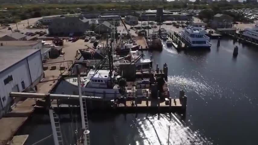 Tucker Carlson: The People vs Wind Power