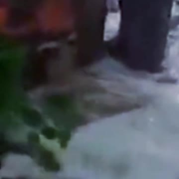 after the dam broke (BAHIA)