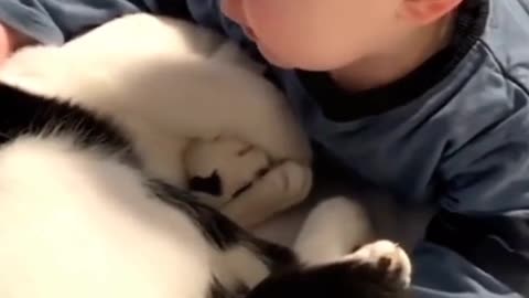 Baby Hold Cat | Funny Animals || Part 5