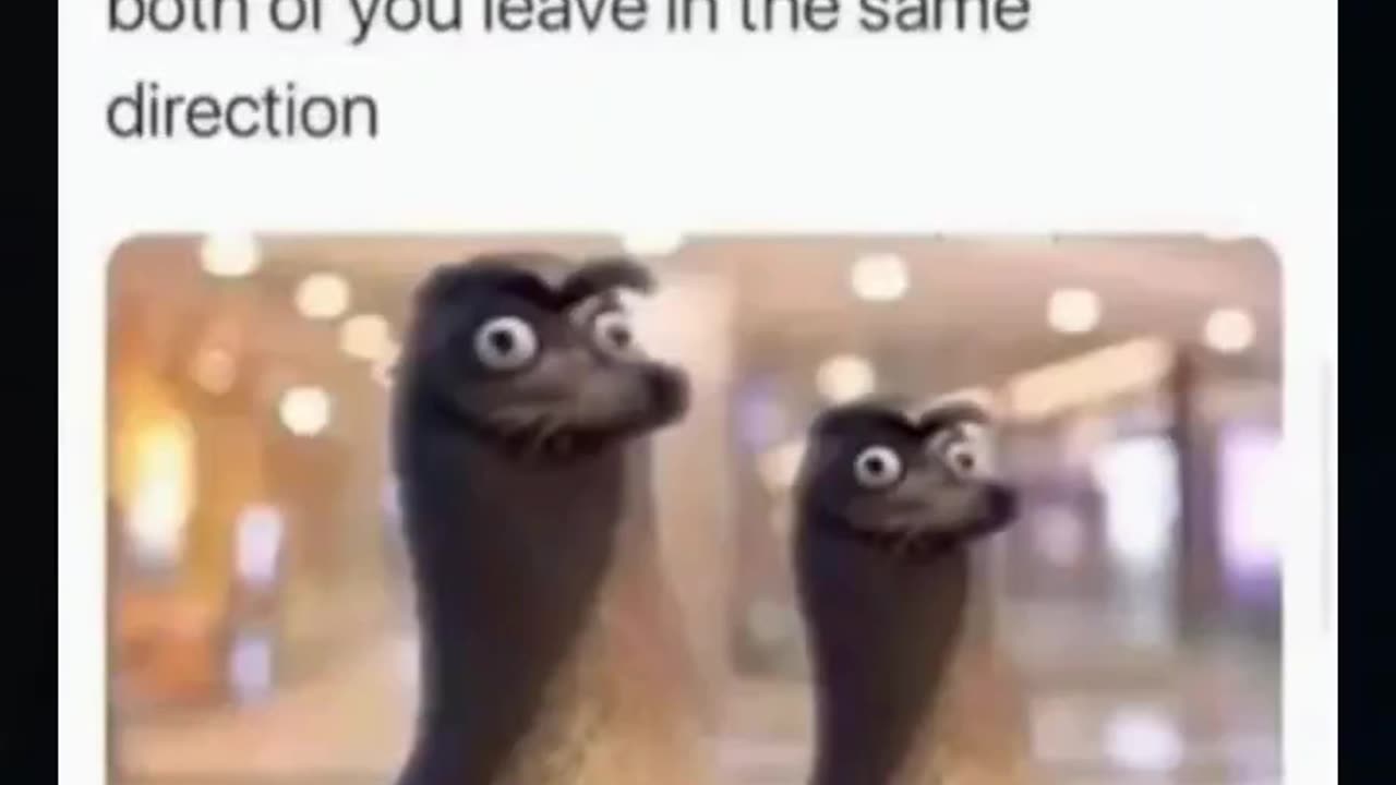 You laugh you subscribe