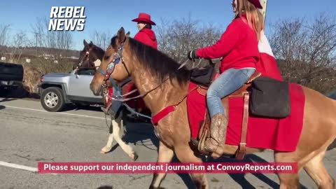 Horses march through peaceful protest near 176th PAC Highway trucker crossing in Surrey, B.C.