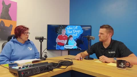 Best Time To Start Training, Going Up/Down Stairs, Calming Your Dog Down & A Bonus Q — 025: Q&A