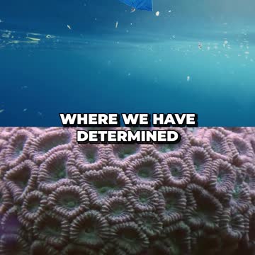 This Is How Scientists Trace Back Microplastics to Its Source